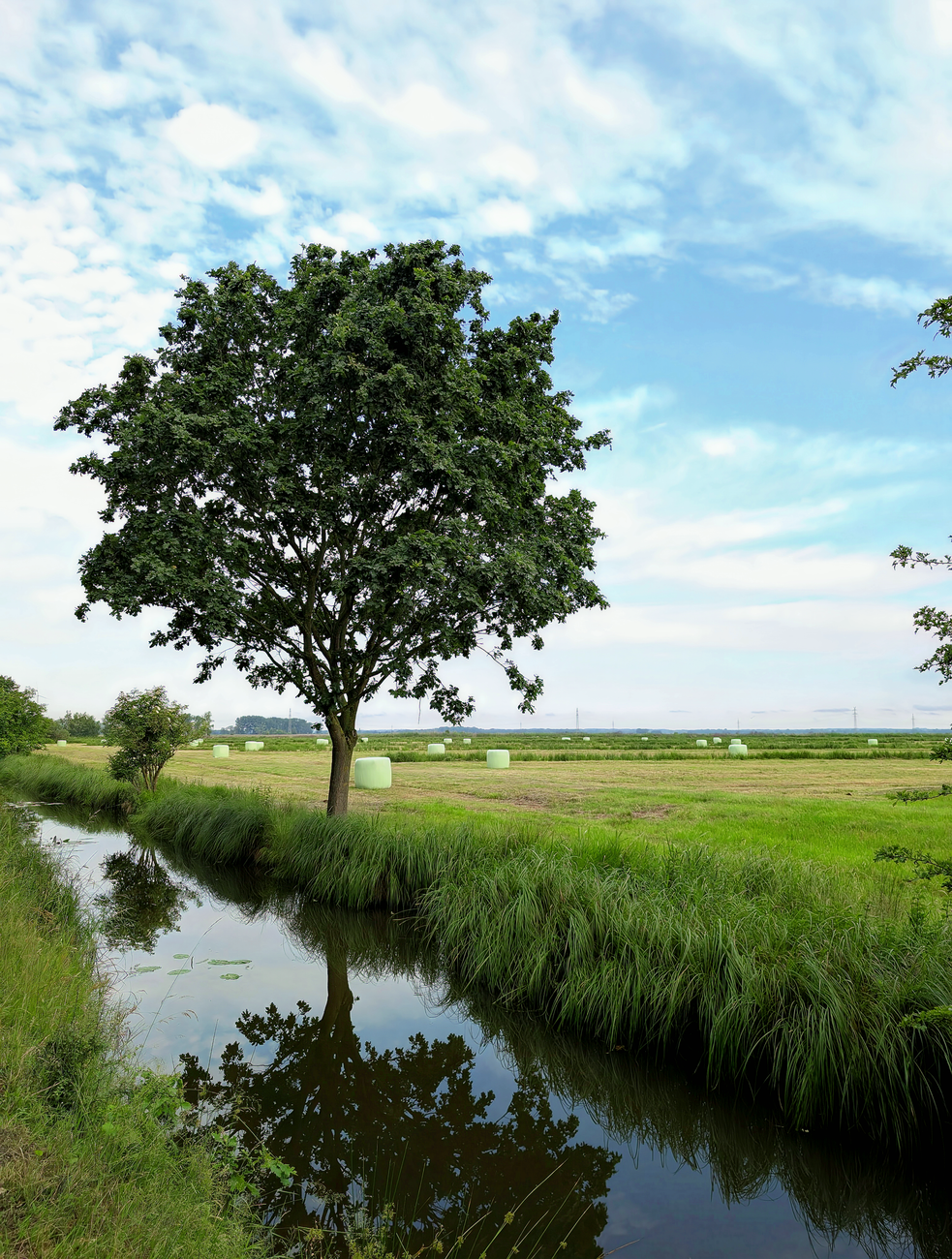 Finding Your Joy: A Saturday Psalm